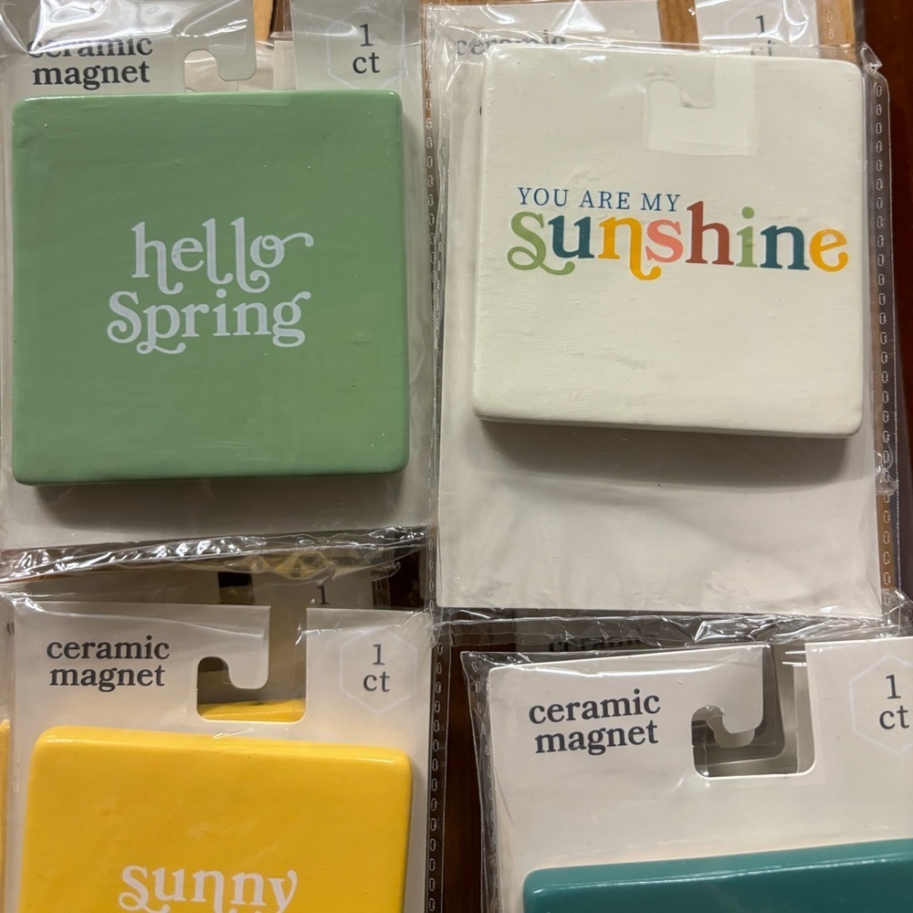 Ceramic Magnets